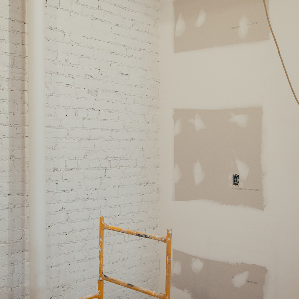 myths about mold and mold damage