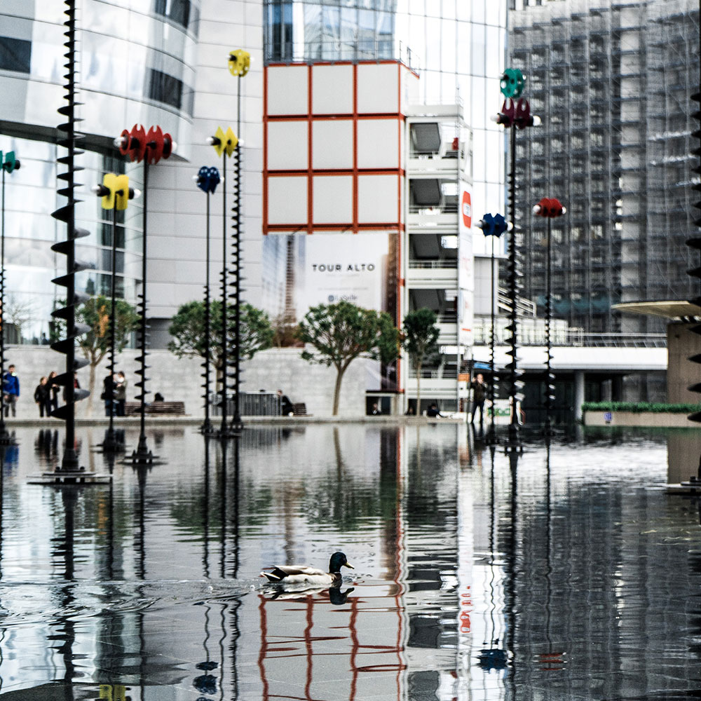 city after a flood