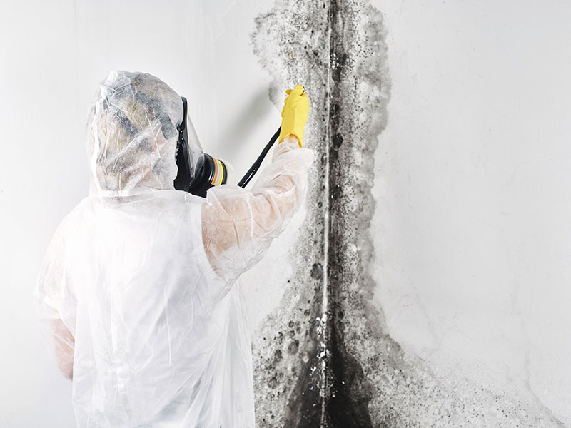 IICRC-certified technician in protective gear and respirator treating mold on a wall