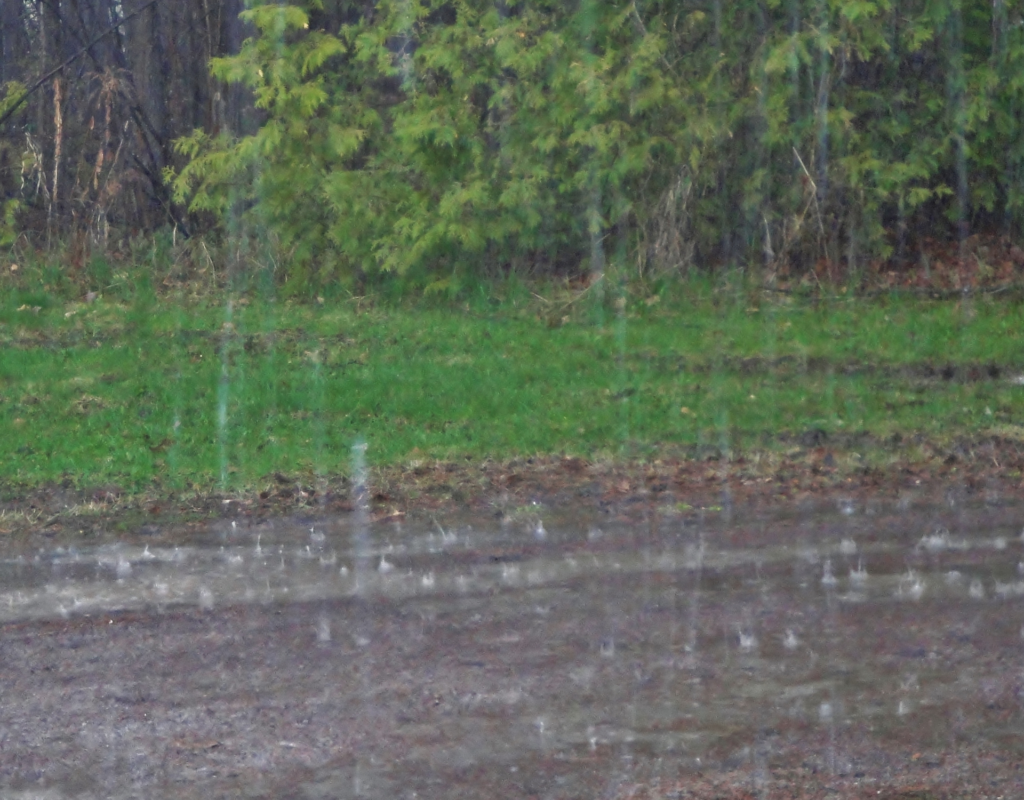 Heavy rains cause flooding