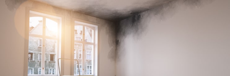Mold in corner of wall due to moisture in home