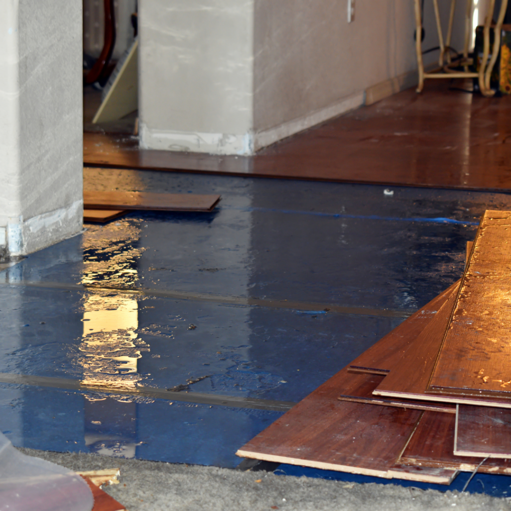 prevent house flooding with mighty dry