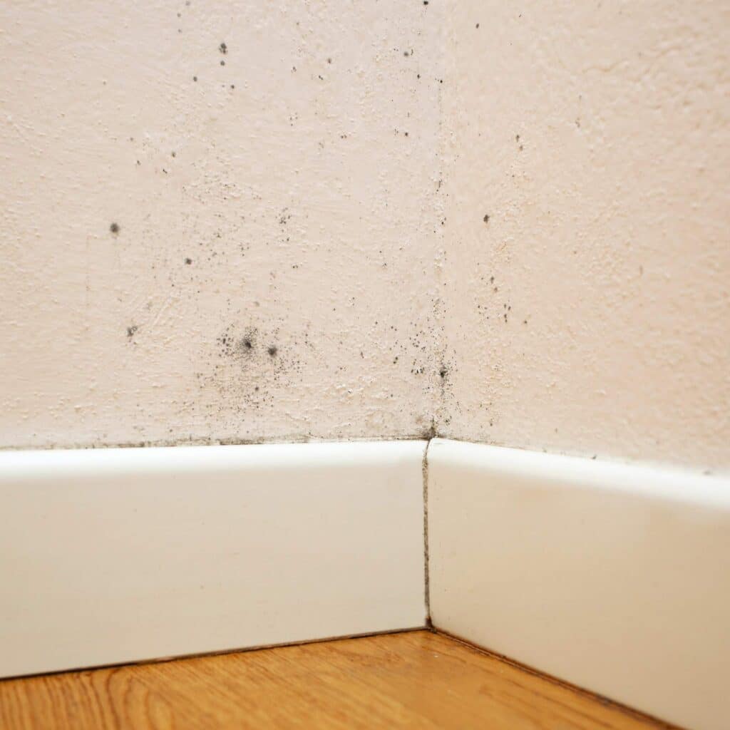 Wall corner with signs of mold